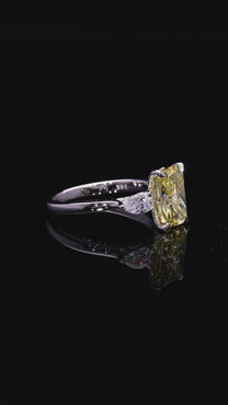 Anouk — Diamond Ring — 360
